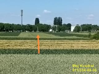 Pustara    plac   Beograd    plac   Beograd  Batajnica    Pustara