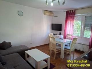 Čede Mijatovića    stanovi   Beograd    stanovi   Beograd  Lion    Čede Mijatovića