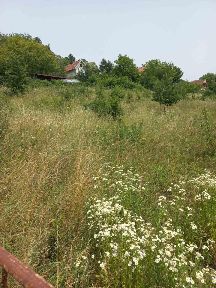 plac   Beograd  Železnik    Avalska